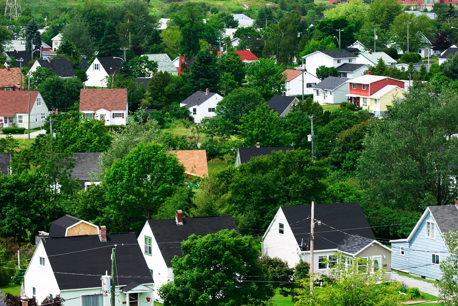 Residential Aerial view of houses and trees