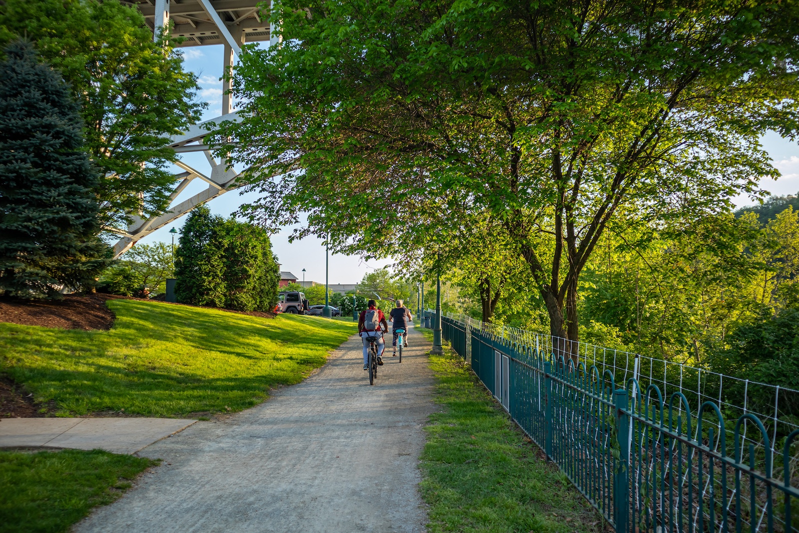 People riding bikes on a path, under green trees in spring.